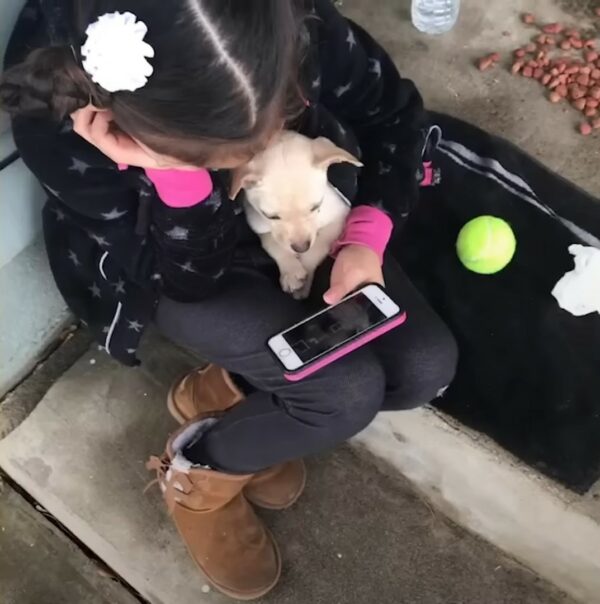 El rescate sigiloso de un cachorro callejero por parte de un adolescente de California captura corazones-2