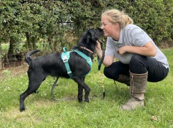 Pareja exige eutanasia para perro que ladra alegremente: Una historia de redención-2