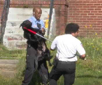 Dramatic Rescue: 24 Pets Saved by Community Heroes in Columbus-2