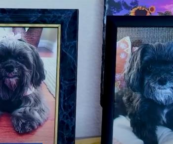 El sueño de una pareja de Florida se convierte en una pesadilla en una viciosa estafa de cachorros-3