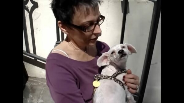 Un héroe misterioso salva a un perro 'agresivo' momentos antes de la eutanasia-7