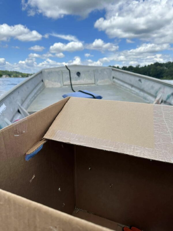 Mystery in the Reeds: Kayaker's Startling Discovery Leads to Daring Rescue-2