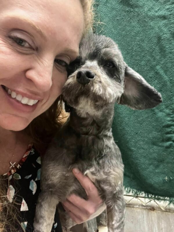 Shocking Discovery on the Highway Leads to Unexpected Rescue Mission-4