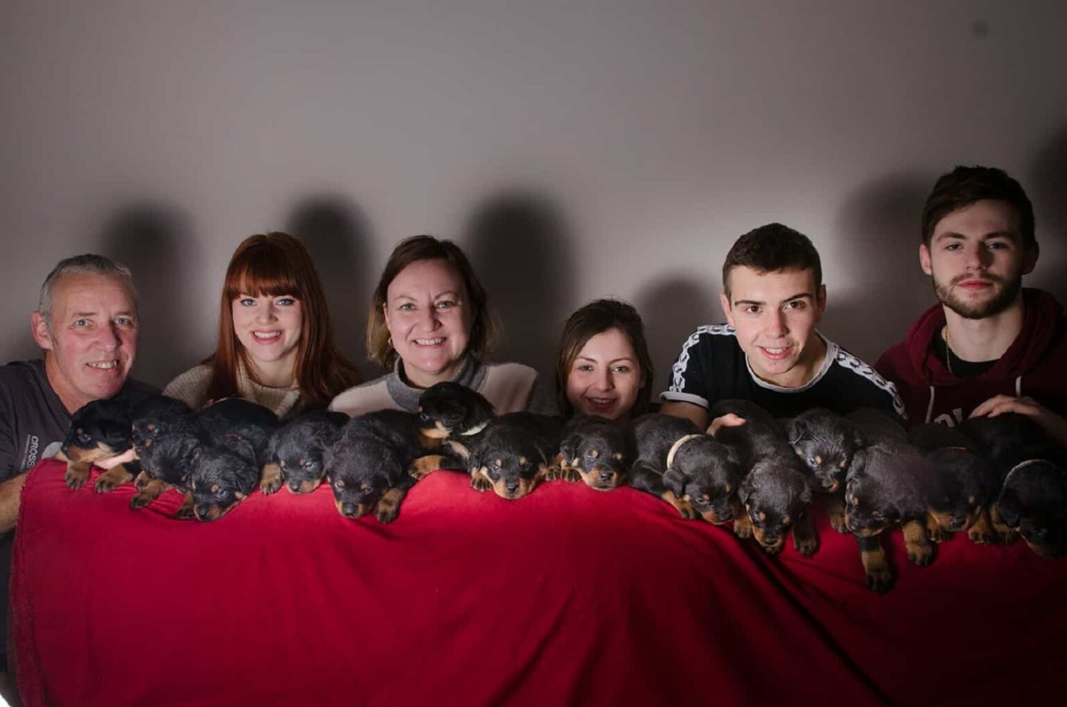 Shocking Revelation Rottweiler's Unexpected Mega Litter Stuns Owners!