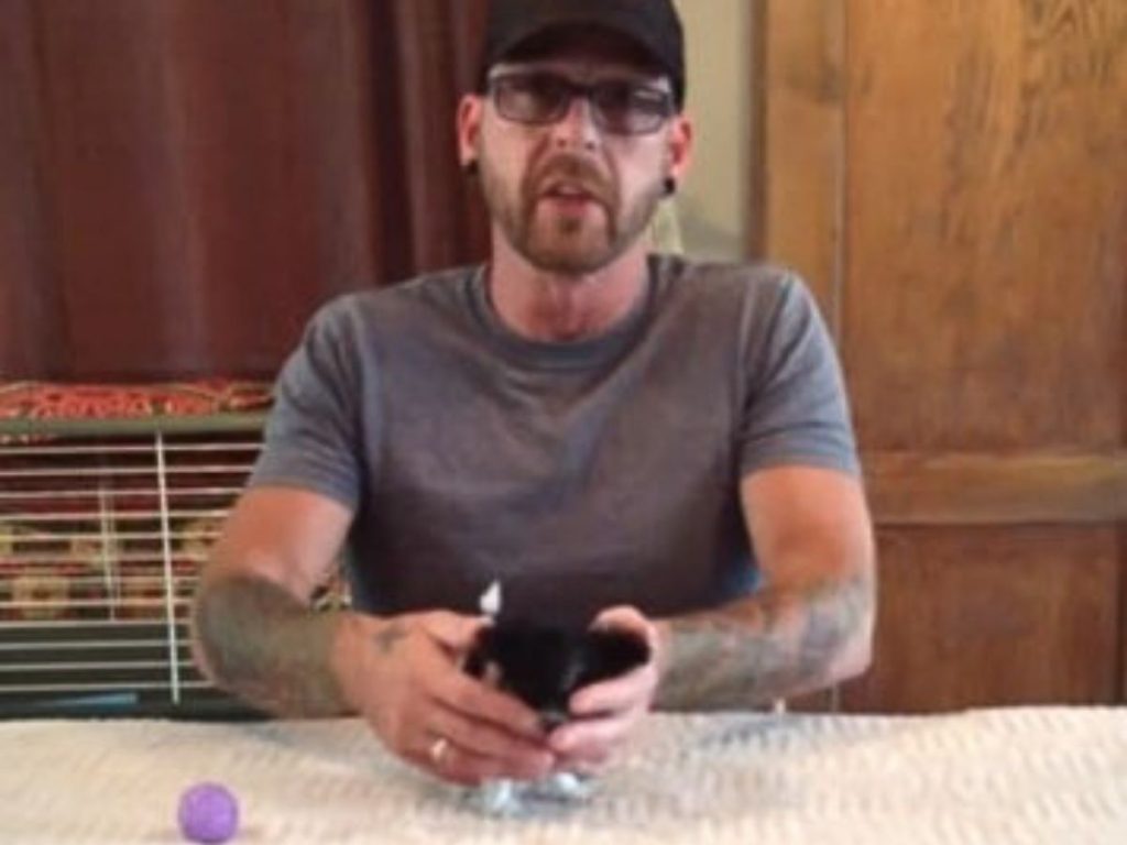 Tiny Triumph: How the Smallest Dog Defied the Odds with Her Loving Dad