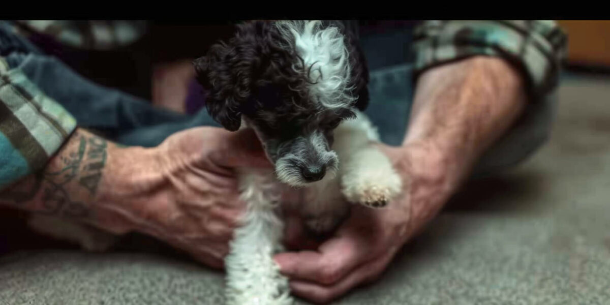 Tiny Triumph: How the Smallest Dog Defied the Odds with Her Loving Dad