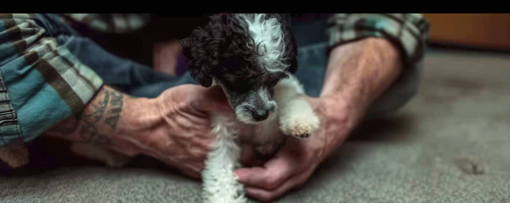 Oz In A Pound: How a Dog Defied the Odds to Rule a Tiny Urban World