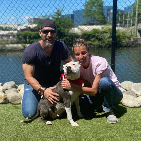 Abandoned and Blind: The Heartrending Journey of a Pitbull Left to Die in the Forest-1