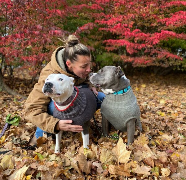 Abandoned and Blind: The Heartrending Journey of a Pitbull Left to Die in the Forest-1