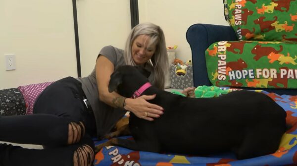 Abandoned but Not Forgotten: The Resilience of a Doberman Named Florence-1