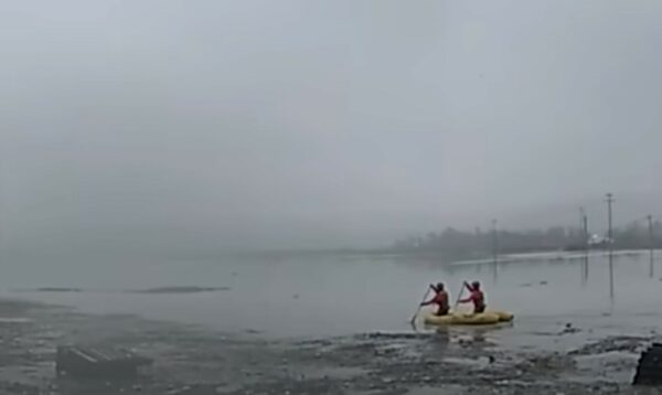 Dramatic Rescue: Animal Saved from Near-Death Experience-1