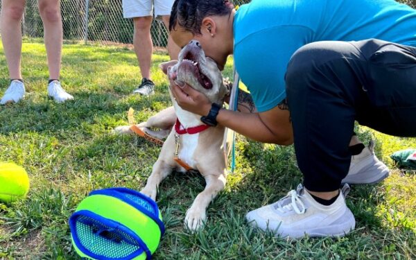 Las inquebrantables visitas de la familia derriten el corazón de un tímido perro de refugio-1