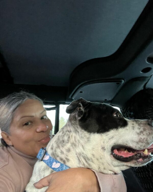 From Despair to Delight: How One Dog's Journey Will Tug at Your Heartstrings-1