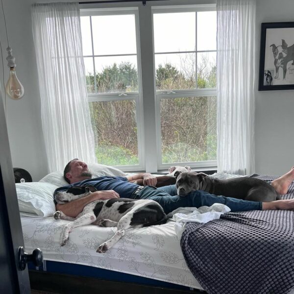 From Despair to Delight: How One Dog's Journey Will Tug at Your Heartstrings-1