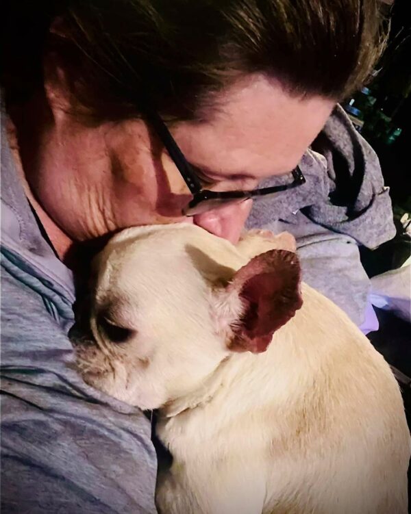 From Despair to Joy: The Heartbreaking Journey of a Rescued Puppy Mill Dog-1