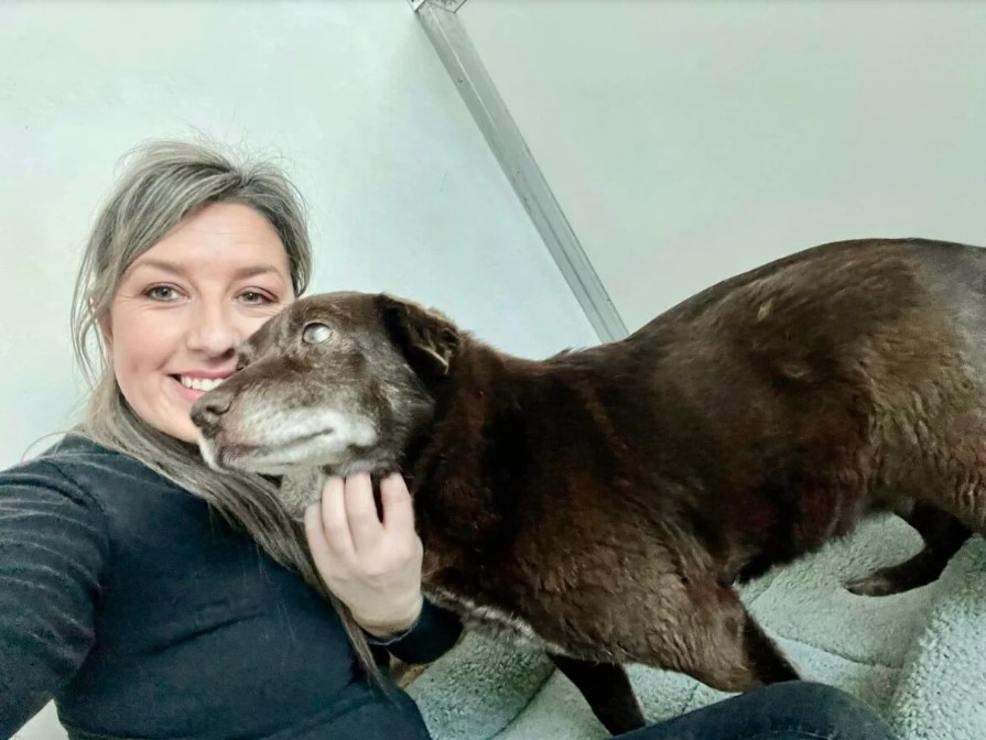 From Despair to Joy: The Transformation of Teasel, a Blind Dog ...