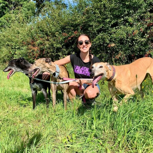 From Despair to Joy: The Unbelievable Journey of a Senior Race Dog-1