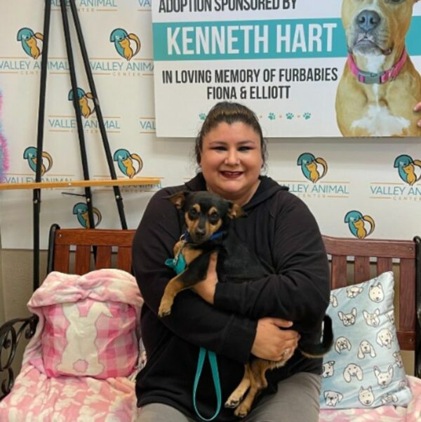 De una experiencia lluviosa a un confort acogedor: la transformación de un pequeño perro abandonado-1