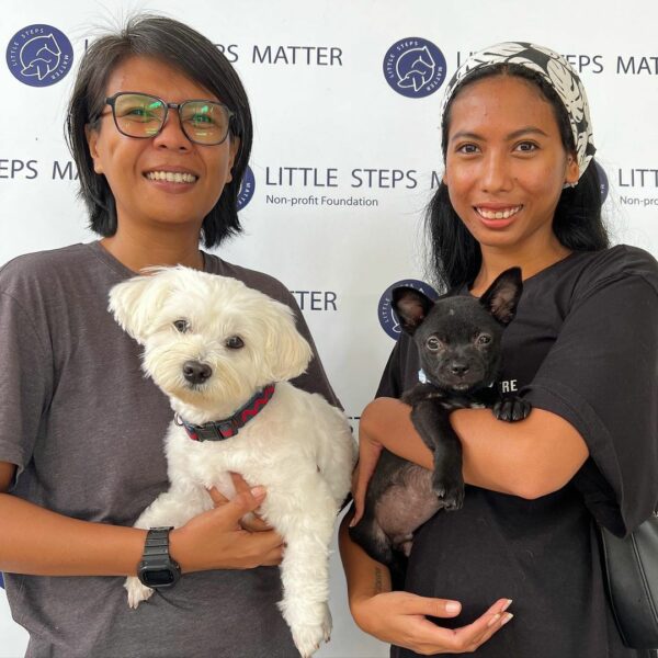 From Tragic to Magic: The Astonishing Rescue of a Puppy from a Rice Bag-1