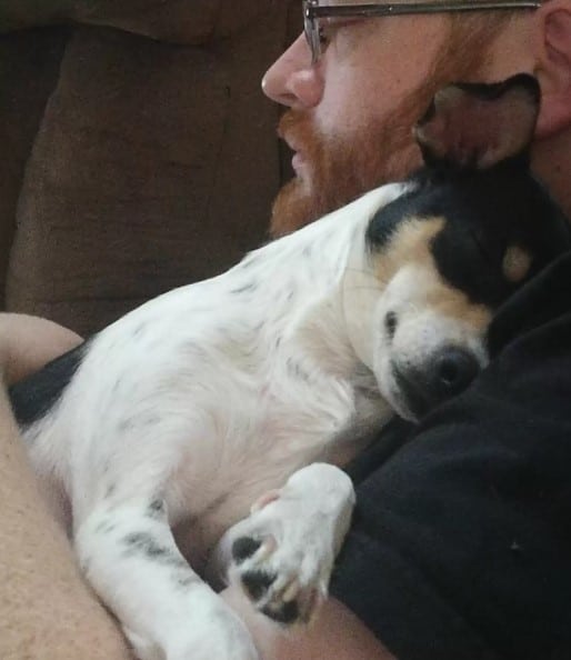 From Trash to Treasure: The Incredible Transformation of a Stray Pup-1