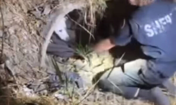 Officer's Unexpected Discovery Leaves Community in Tears-1