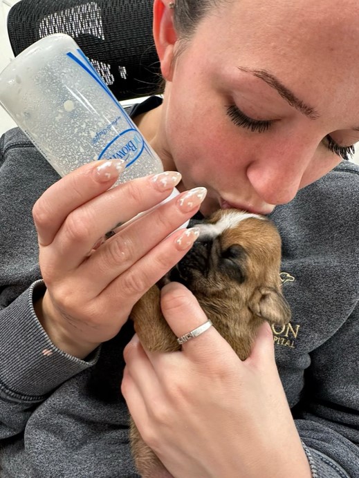Rejected Puppy Defies Odds with Nurse's Love Amidst a Harsh Start-1