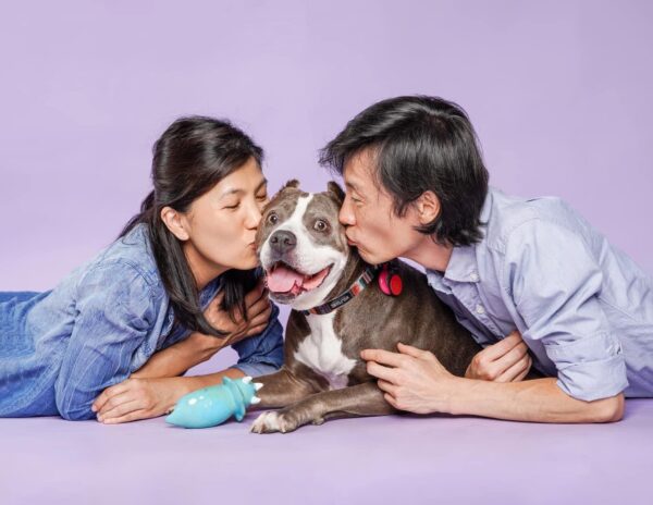 Rescue Mission: Abandoned Pit Bull's Journey from Despair to Joy-1