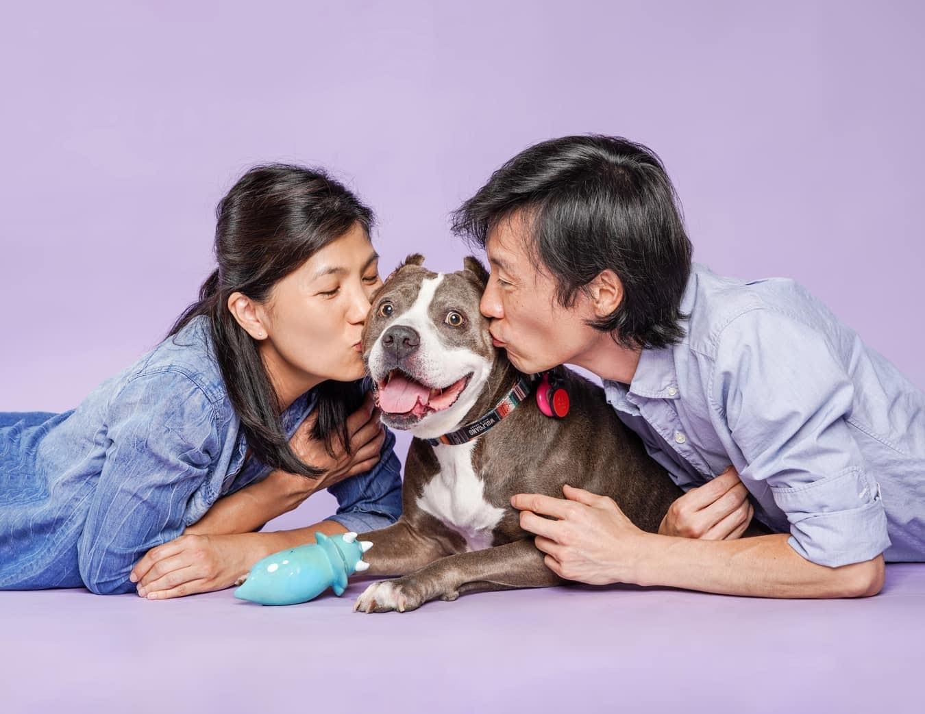 Rescue Mission: Abandoned Pit Bull's Journey from Despair to Joy