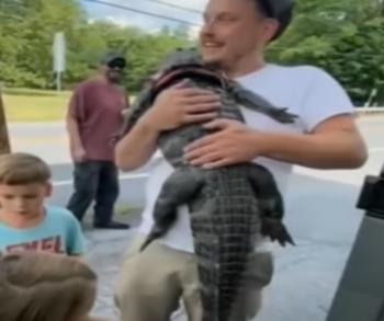 Terrifying Tale of Wally: The Emotional Support Alligator Snatched and Lost in the Wild-1
