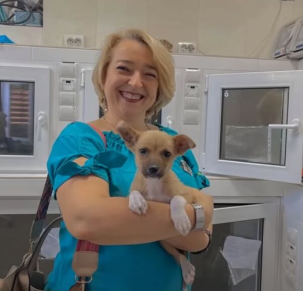 Tiny Puppy's Brush with Fate: A Journey from Despair to Joy-1