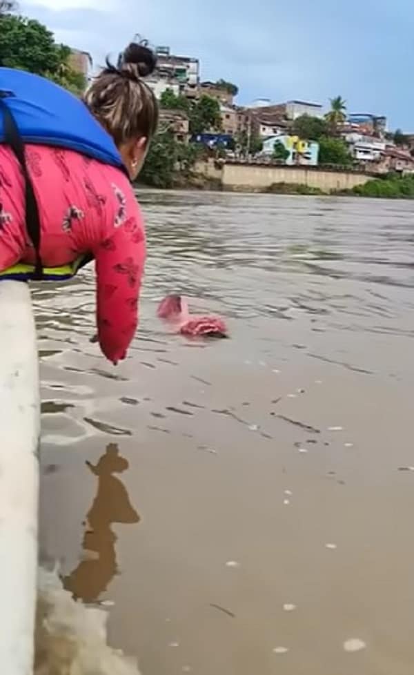 Unbelievable Rescue: Puppy Survives After Being Discarded in River-1