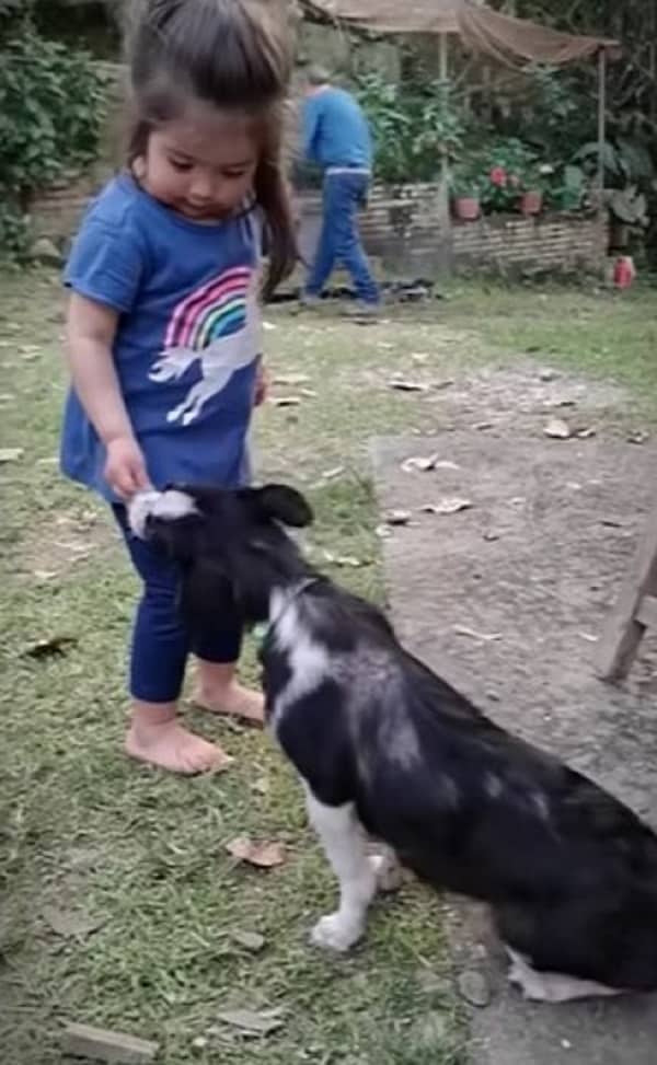 Unbelievable Rescue: Puppy Survives After Being Discarded in River-4
