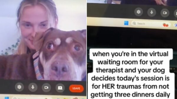 When Your Dog Crashes Your Therapy Session for an Unexpected Reason!-1