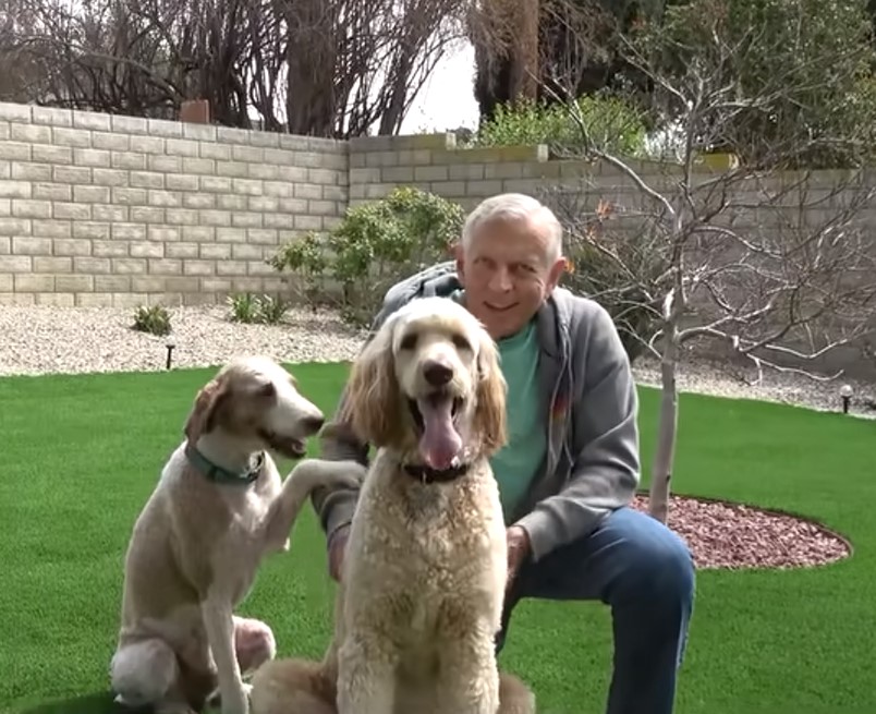 A Dog's Miraculous Journey from Abandonment to Love