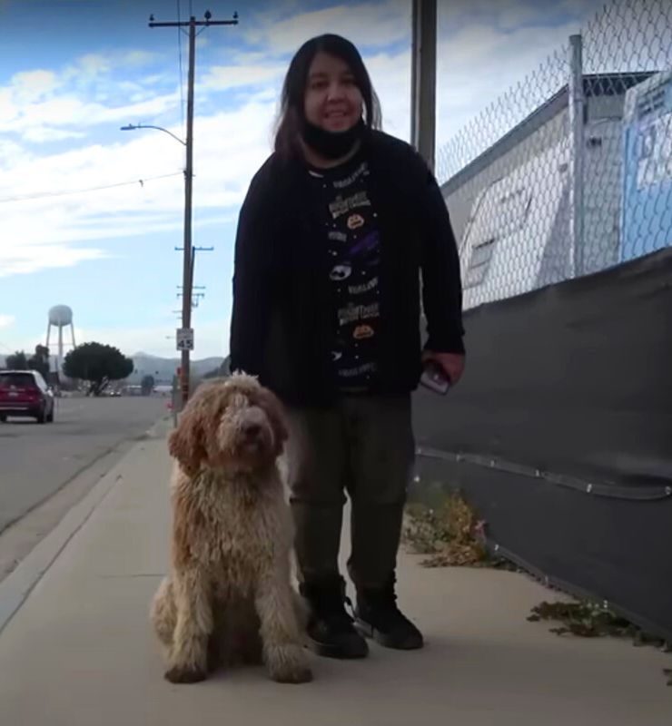 A Dog's Miraculous Journey from Abandonment to Love