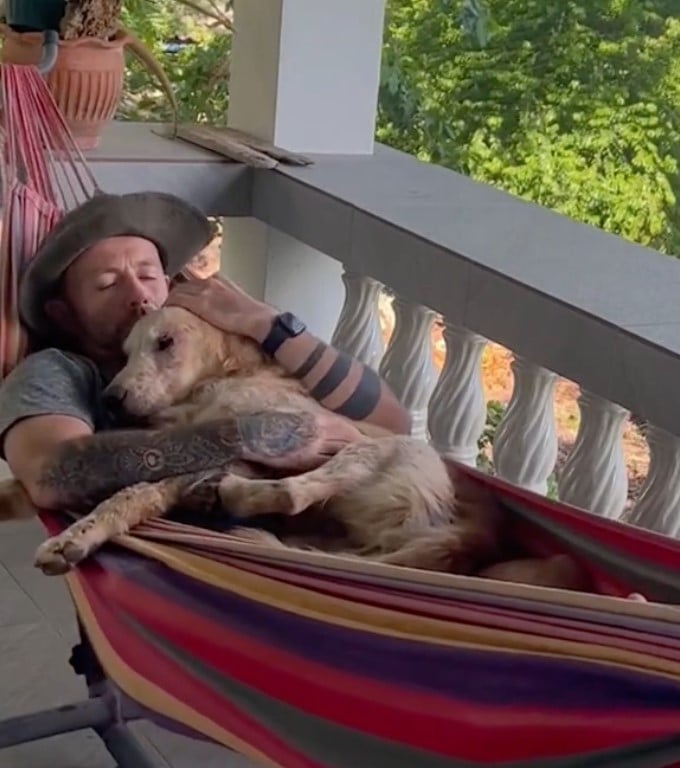 A Stray Dog's Miraculous Journey: From Despair to Joy and an ...