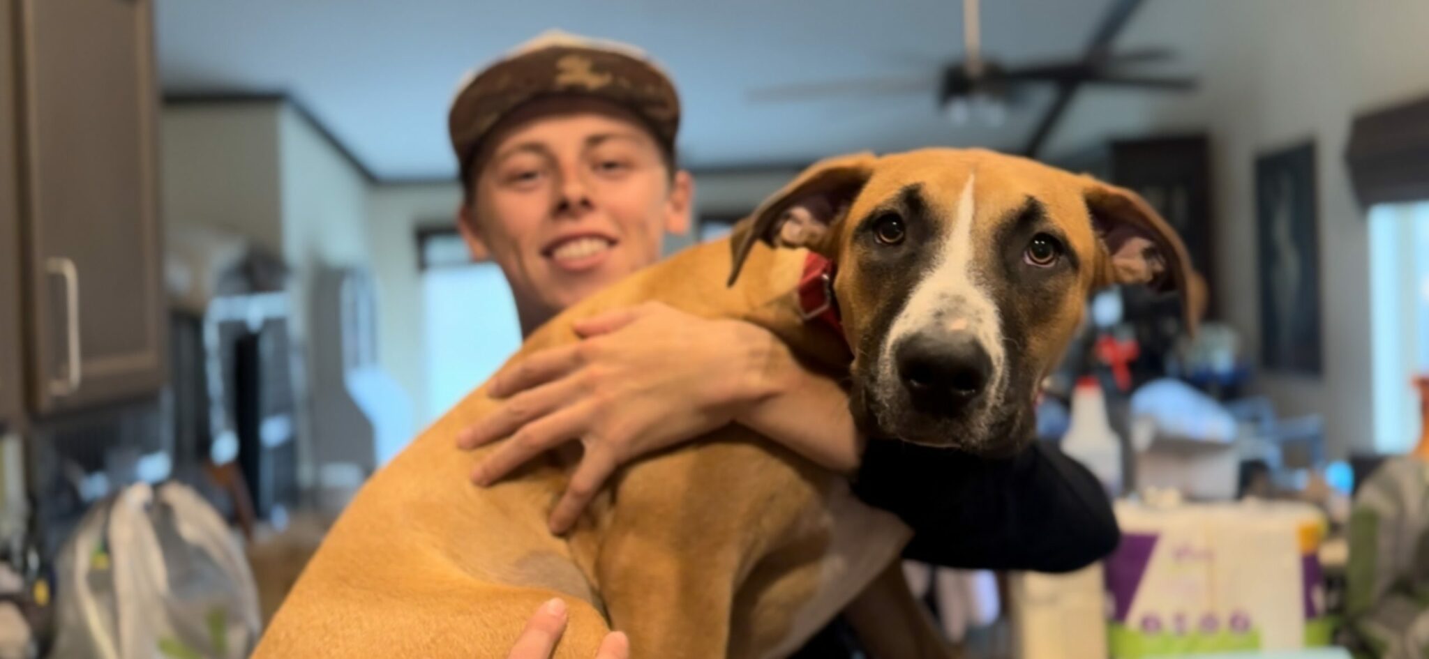 Abandoned Puppies Found in Laundry Basket: A Tale of Desperation and Hope