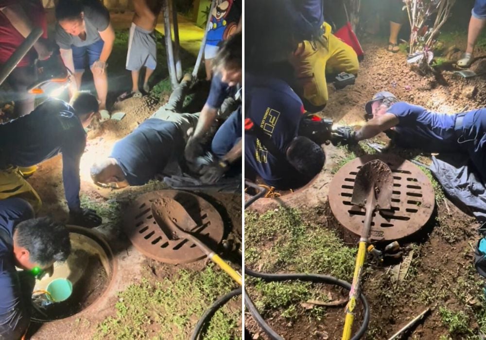 Brave Rescuers Save Trapped Dog from Storm Drain in Dramatic Mission
