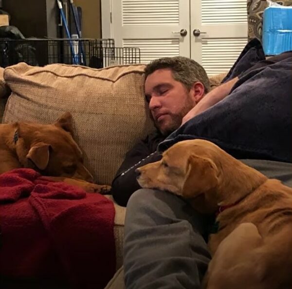 Couple Discovers Unlikely Midnight Visitor That Changes Their Lives Forever-1