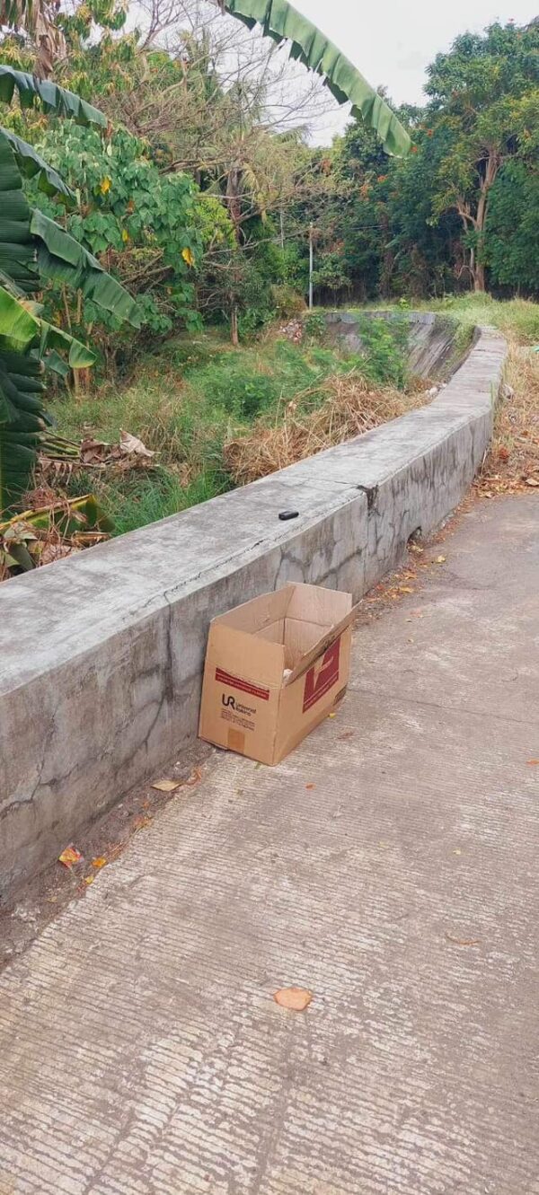 Cyclists Discover an Unbelievable Surprise Inside an Abandoned Box-1
