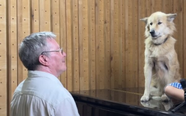 La conmovedora serenata del dúo padre-hija para su amado perro derretirá tu corazón-1
