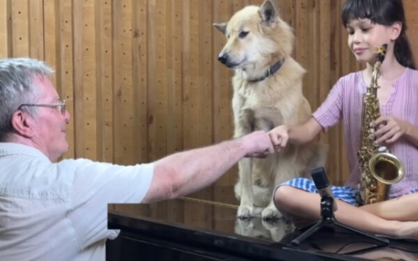 La conmovedora serenata del dúo padre-hija para su amado perro derretirá tu corazón-1