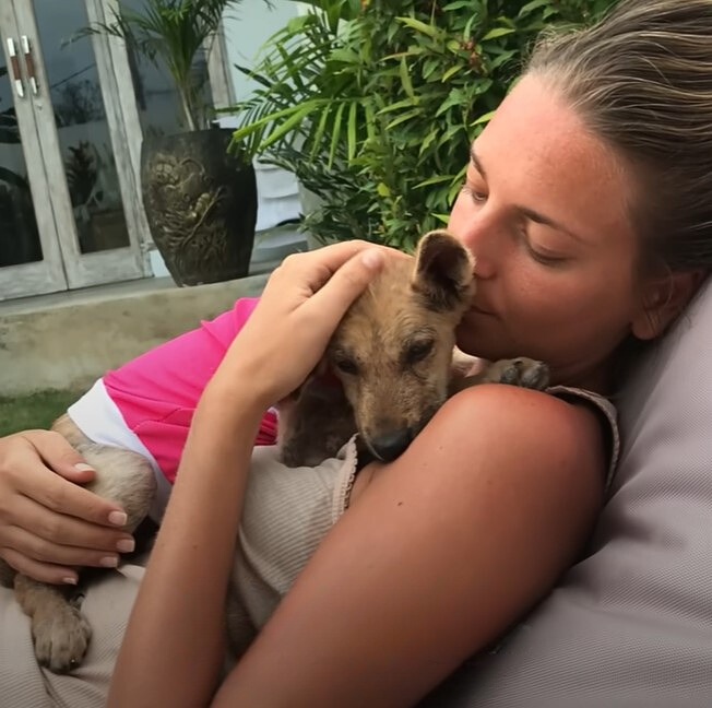 From Abandonment to Joy: The Transformation of a Resilient Puppy