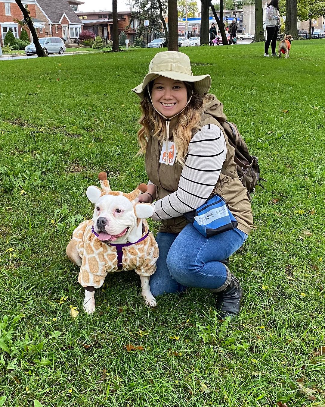 From Despair to Joy: The Unbelievable Transformation of an Abandoned Dog