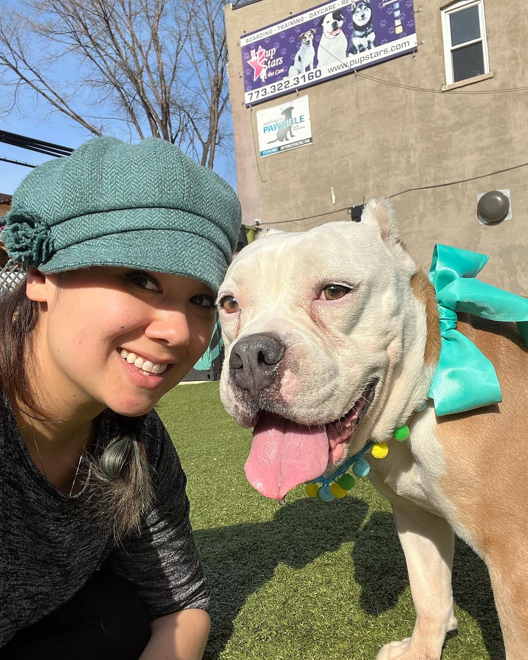 From Despair to Joy: The Unbelievable Transformation of an Abandoned Dog