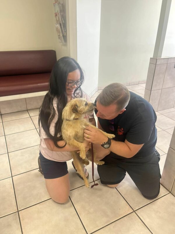 Reunited with Their Lost Pup, Family Discovers a Heart-Melting Surprise-1