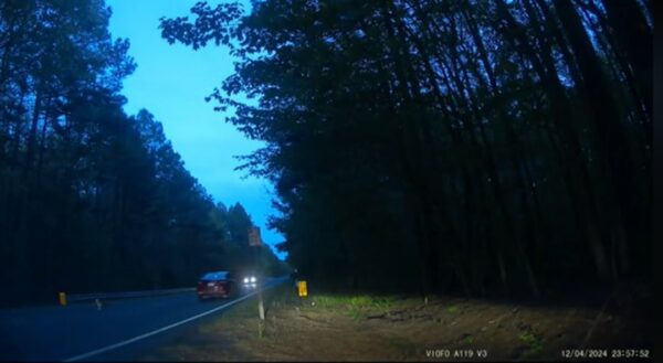 She Couldn't Ignore The Dog In Danger: What Happened Next Will Astound You-1