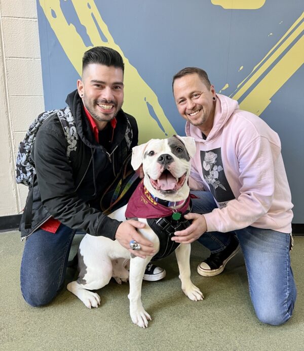 The Heart-Wrenching Journey of a Lonely Shelter Dog to Find His Forever Home-1