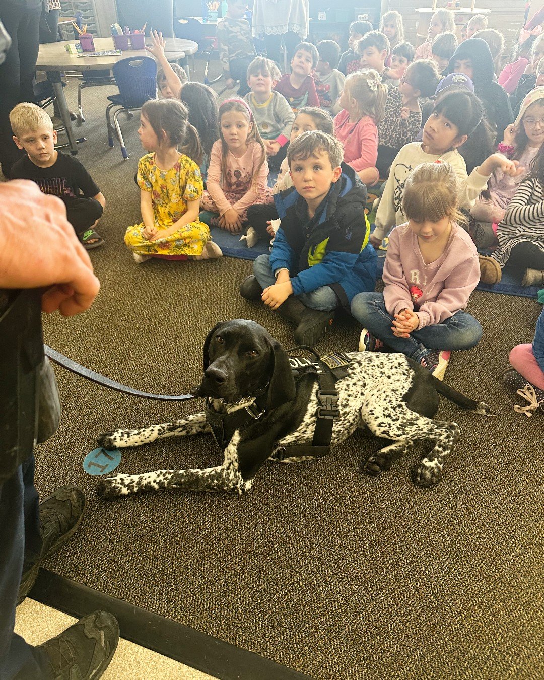 The Incredible Tale of K9 Hero Who Saved a Life Against All Odds