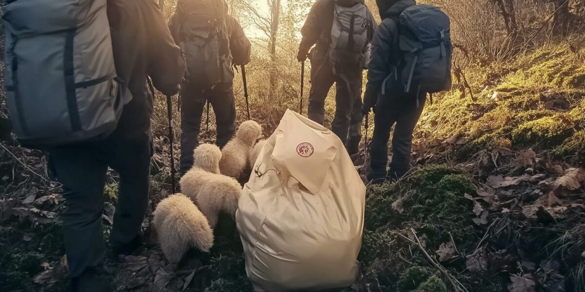 Hikers Stumble Upon Mysterious Moving Bag in Forest